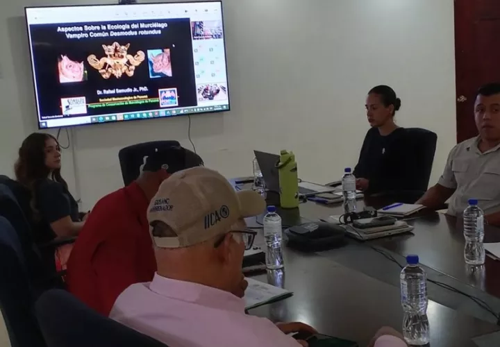 Jornada de capacitación virtual dirigida a médicos veterinarios de todo el país.