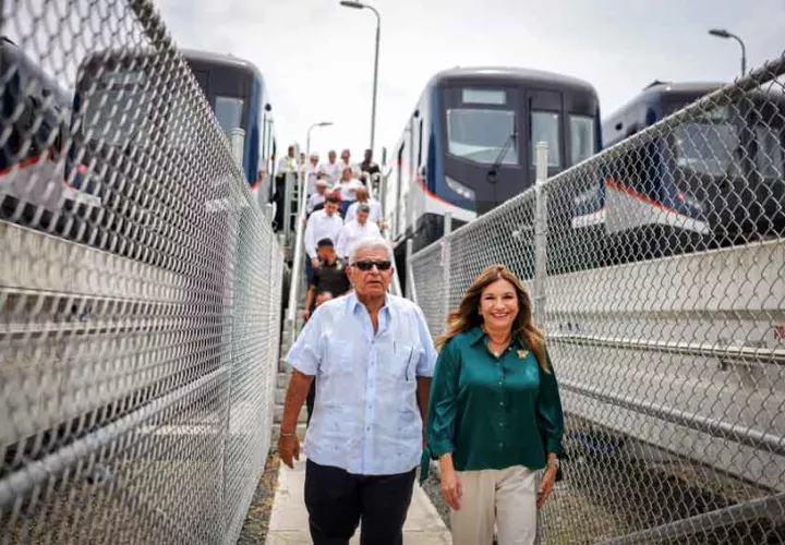 mulino-linea-3.jpg