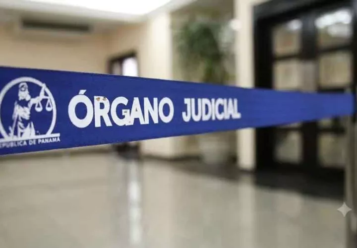 organo-judicial_1.jpg