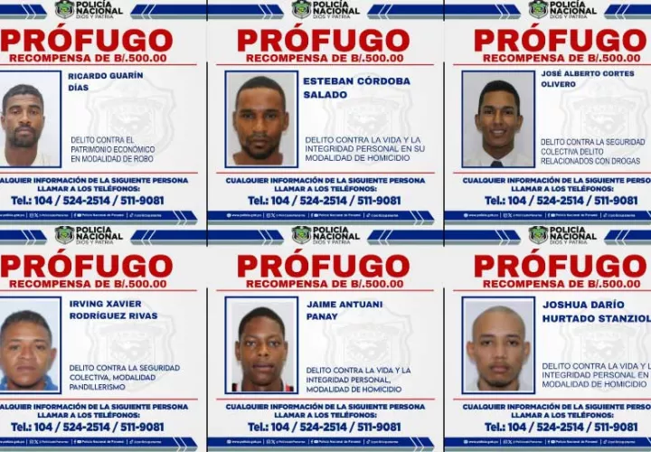 profugo-2.jpg