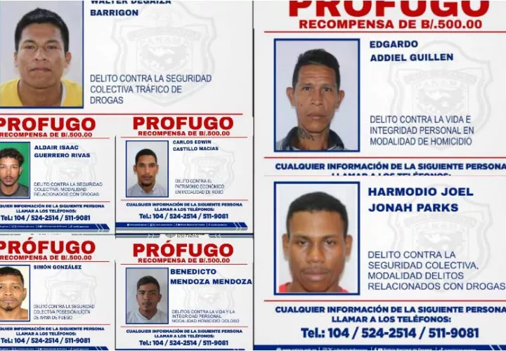 profugo-3.jpg