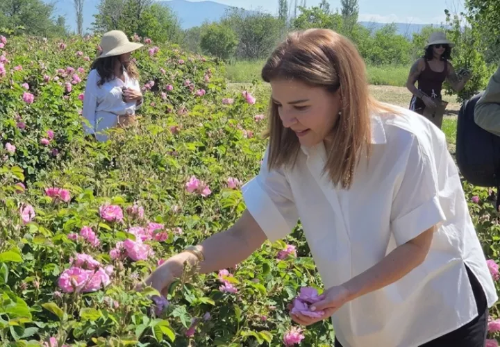 Gulsah Gurkan muestra cómo se recolecta una rosa.