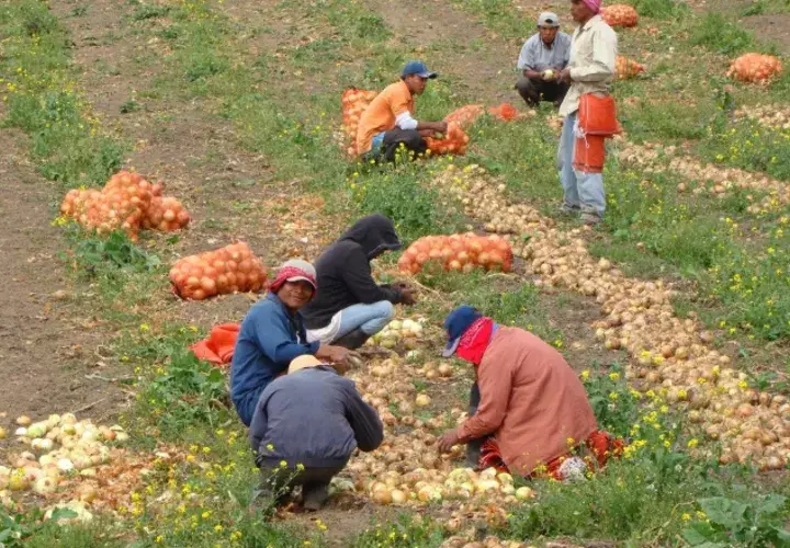 Productores sostienen que no han recibido respuesta de las autoridades. /Foto Archivo 