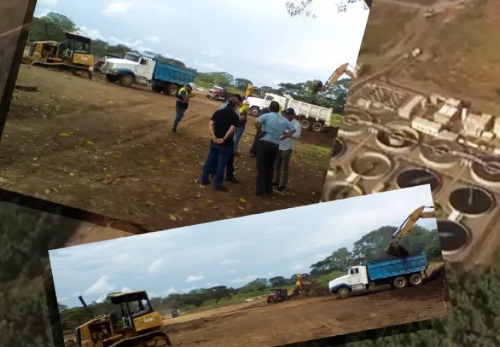 Son 4  hectáreas ubicadas en el sector de El Mangote, en David. /Foto Cortesía