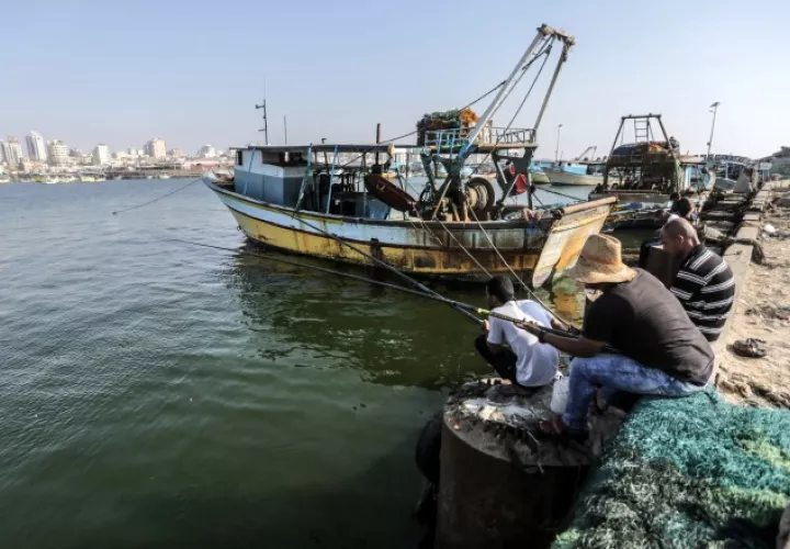 España  gastó  12,053 millones de dólares en  productos del mar en 2017. /Foto EFE