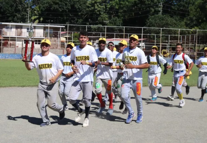 La Liga Superior de Sóftbol Masculino, que ganó el equipo de Azuero,  tuvo como escenario  La Arena de Chitré. /Foto Cortesía/Fepasoft