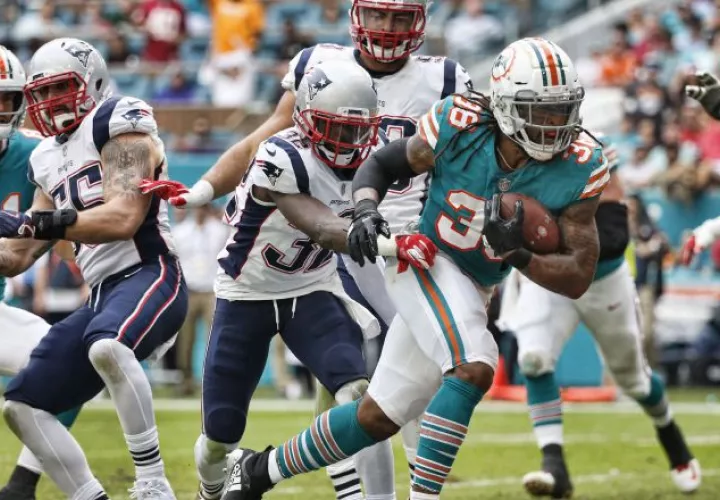 Dolphins se niegan a renunciar a la postemporada. /Foto EFE