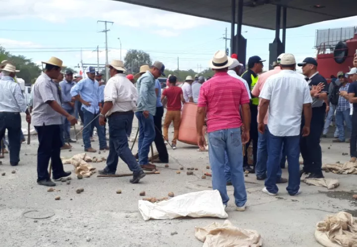 Los productores derramaron sus productos en la carretera.