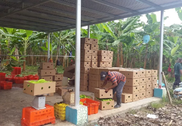 Se evaluará producción de cada empresa participante. Archivo