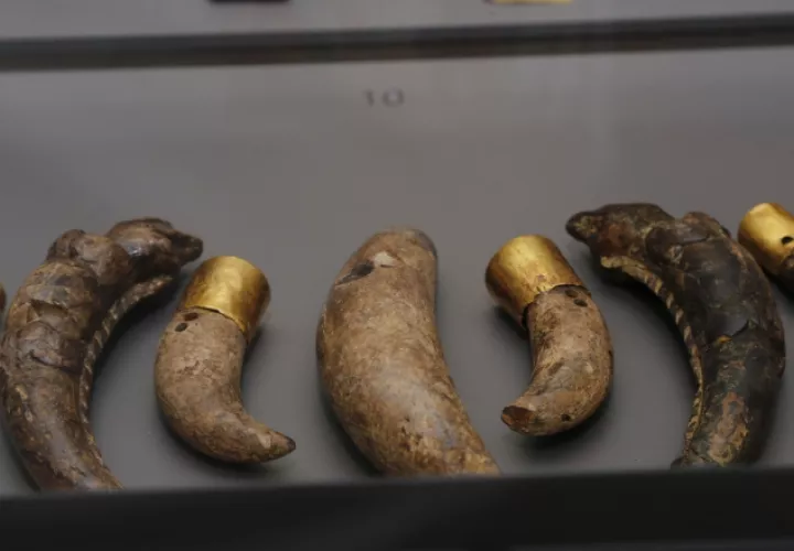 El museo se divide en una antesala y una sala de exposición. Cortesía