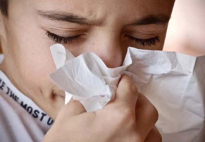 Hay más de 200 virus que causan el resfriado.