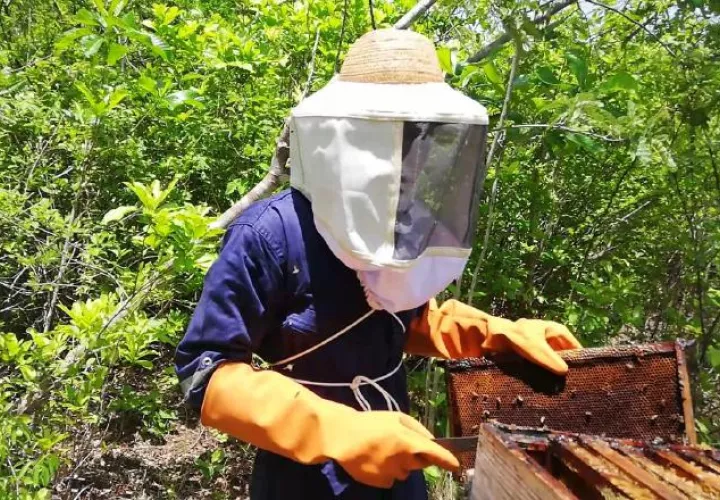 Noriel Tello cumple varios objetivos con "Beehouse". Como apicultor más que solo emprender, vela por la supervivencia de las abejas. Foto: Cortesía.