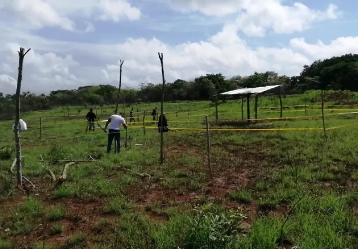 En su comunicado este organismo solicita acciones en contra de la invasión de tierras. Eric A. Montenegro 