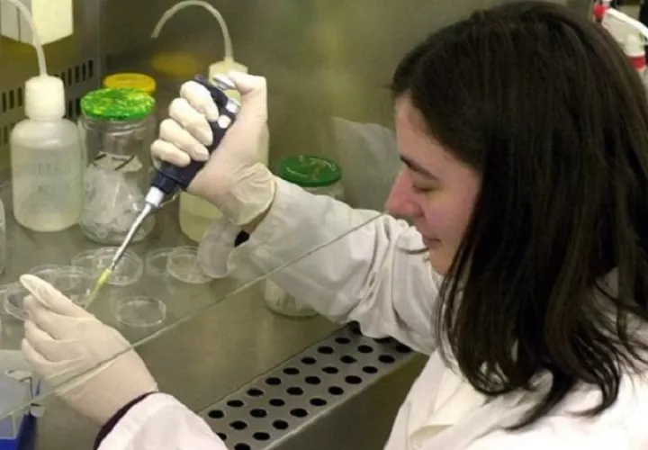 Otro estudio indica que en el mundo solo 3 de cada 10 investigadores son mujeres. EFE