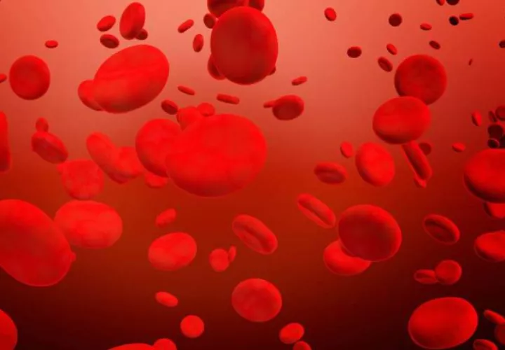 En Panamá, 882 personas presentan algún tipo de trastorno en la coagulación de la sangre.  Pixabay