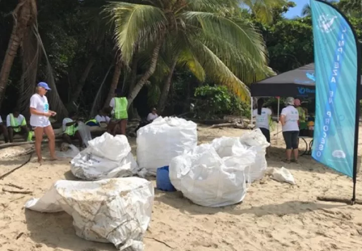 Cerca de 700 especies marinas están en riesgo por los efectos de la contaminación del plástico y microplástico que llegan a los océanos. Cortesía