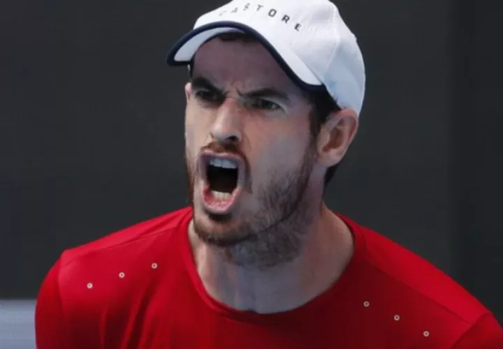 Andy Murray Foto AP