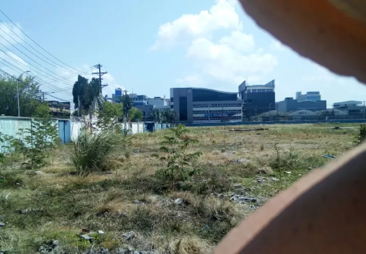 Así se encuentra el campo de juego del Roberto Mariano Bula. Foto Diomedes Sánchez