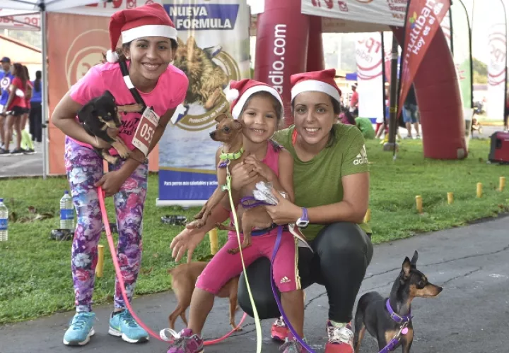 Mascotas también participan del evento.