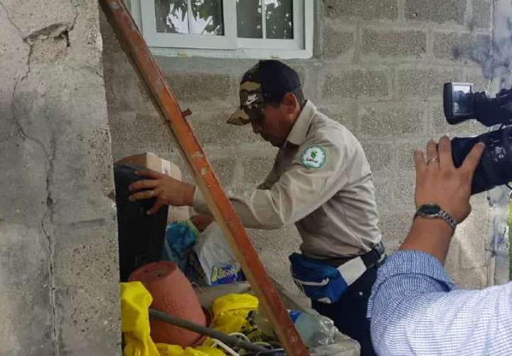 Funcionarios del Minsa eliminan criaderos de mosquitos en San Miguelito.  Cortesía