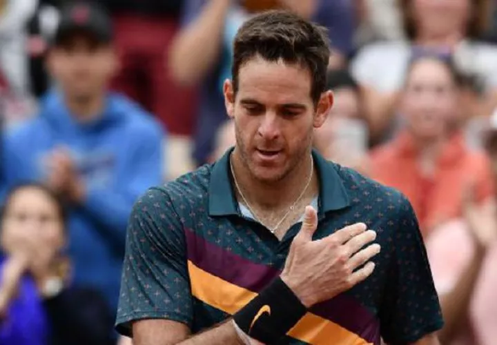 Juan Martín del Potro. Foto:AP