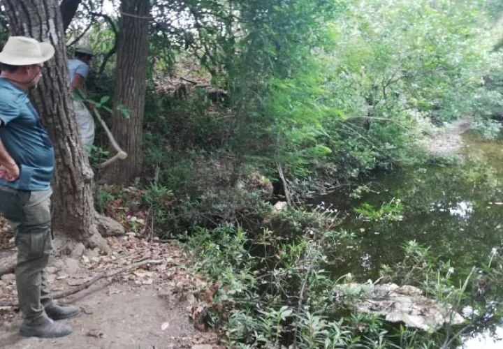 El río Estivaná, principal afluente del río La Villa, abastece de agua a las potabilizadoras de Llano de Piedra  y la de Macaracas. Foto/Thays Domínguez