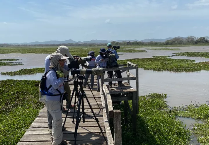 Muchos especialistas llegan al país para recolectar información de las especies de aves que visitan nuestras costas. Tharyn Jiménez