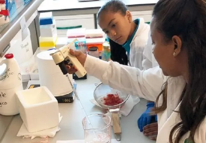 Panamá apostó al conocimiento nacional para enfrentar la pandemia del COVID-19. Archivos