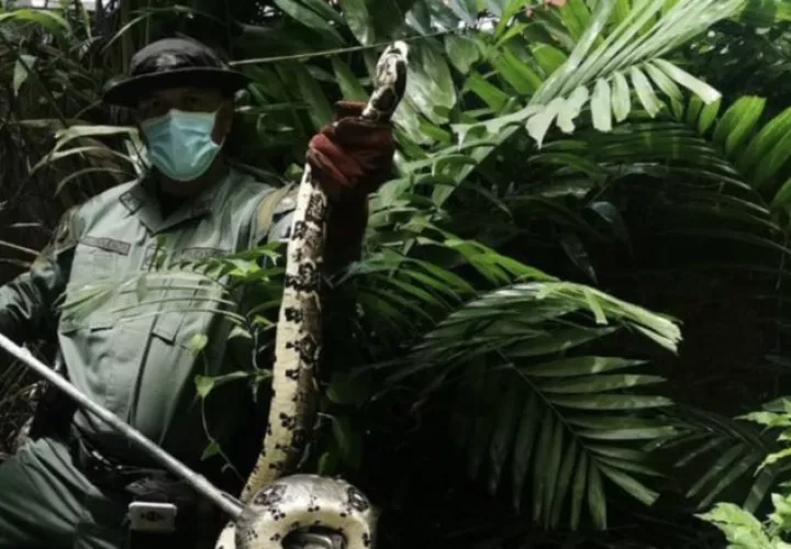 Mi Ambiente y Minseg afinan estrategias contra delitos ambientales. Cortesía