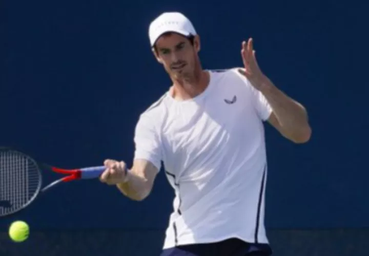 Andy Murray Foto:AP