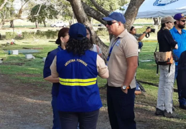 Los trabajos se realizan en el Jardín de Paz. 