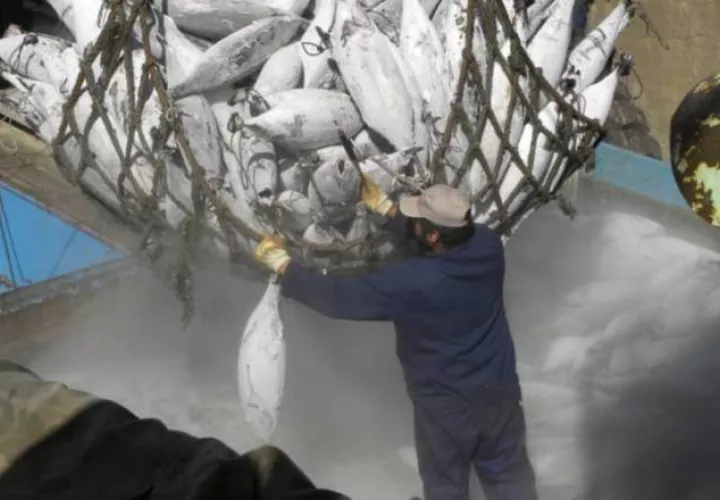 La pesca aporta un porcentaje importante al PIB mundial. 