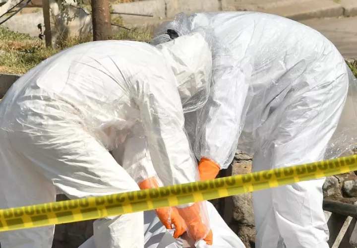 La pandemia de COVID-19 mantiene arrodillado al mundo. 