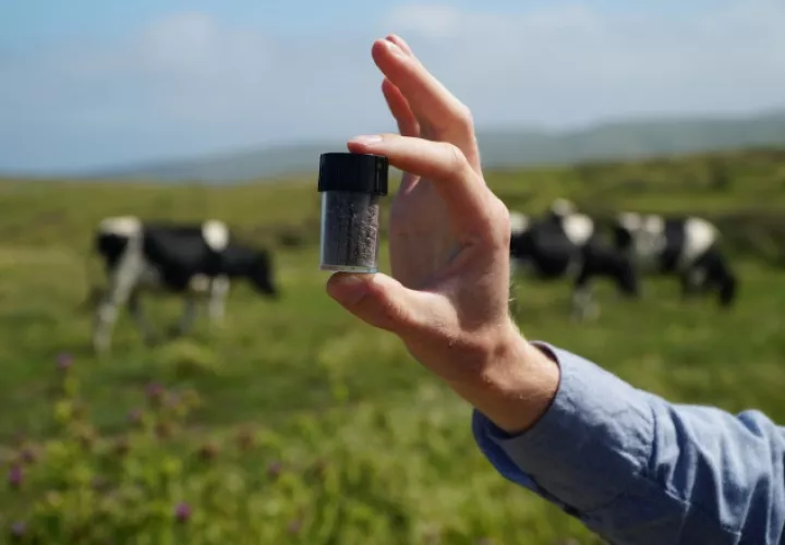 El ganado es una gran fuente de metano. Si fuera un país, sería el tercer mayor emisor mundial de gases de efecto invernadero que fomentan el cambio climático. Efe