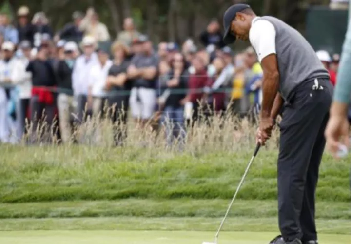 Tiger Woods Foto:EFE
