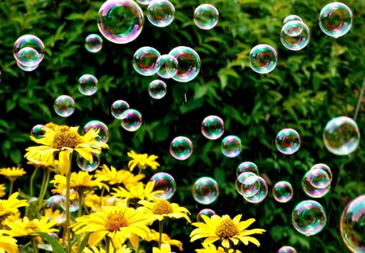 Pompas de jabón flotando sobre un campo de margaritas Pixabay