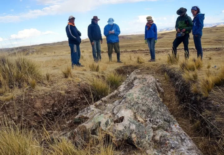 Fotografía cedida hoy por el Instituto Smithsoniano que muestra a investigadores mientras examinan  un árbol fósil de 10 millones de años, en San Miguel (Perú). 