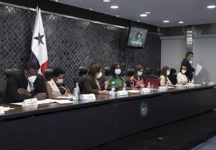 Fue aprobado por unanimidad en primer debate en la Asamblea Nacional. 