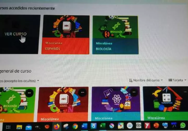 El Estado ha brindado facilidades para la conectividad. 