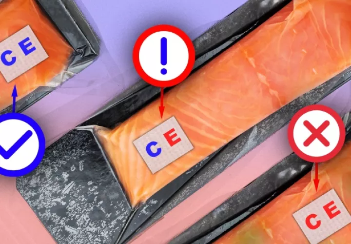 Los investigadores sujetaron el sensor a un filete de pescado crudo contaminado con E. coli. 
