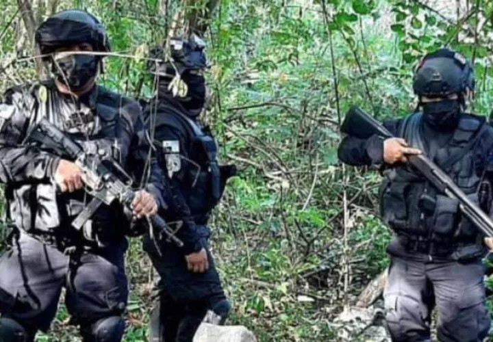 Este año se han incautado fuertes sumas de dinero y armas en caletos en diferentes partes del país.