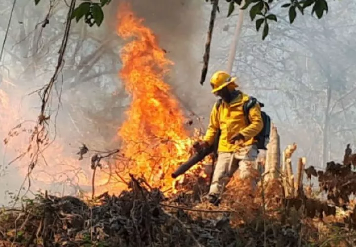 Las autoridades tratan de evitar que los ciudadanos provoquen incendios accidentales o intencionales. 