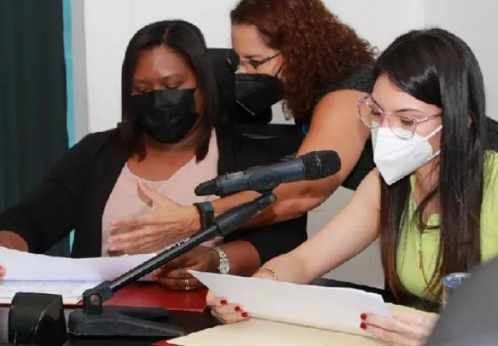 Consultas hechas por la subcomisión de Ambiente sobre el proyecto de ley. Cortesía: Asamblea 