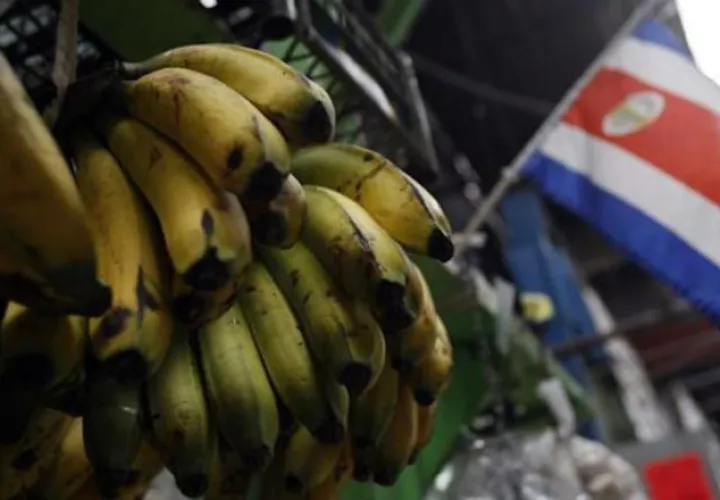 Evitan plaga del banano. EFE