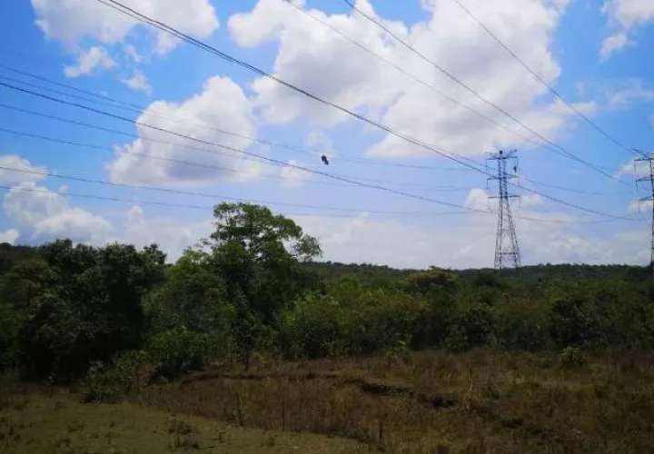 El proyecto contempla la instalación de 900 torres a lo largo de 330 kilómetros, en el norte del territorio nacional. Cortesía