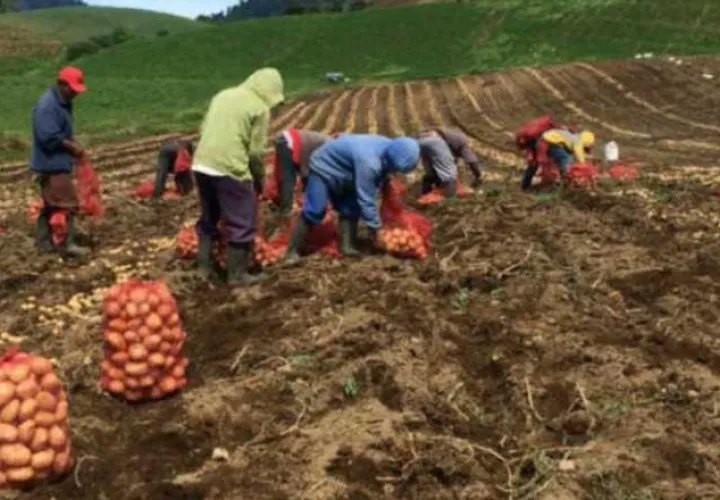 El Mida pide continaura con las labores de producción. Archivo