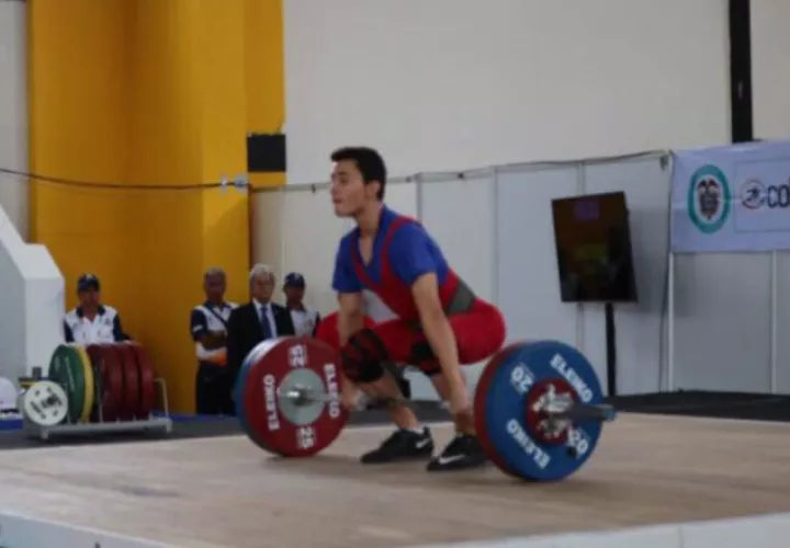 42686746.jpg