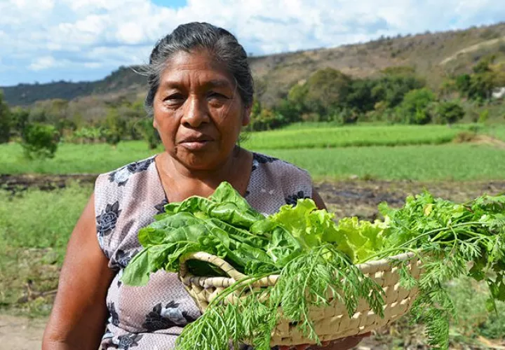 Sin duda alguna, los países han hecho grandes esfuerzos por contribuir a la disminución de las brechas de género. Cortesía/FAO