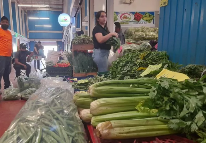La mayoría de los legumbres que llega a los mercados nacionales provienen de Tierras Altas Chiriquí. Cortesía