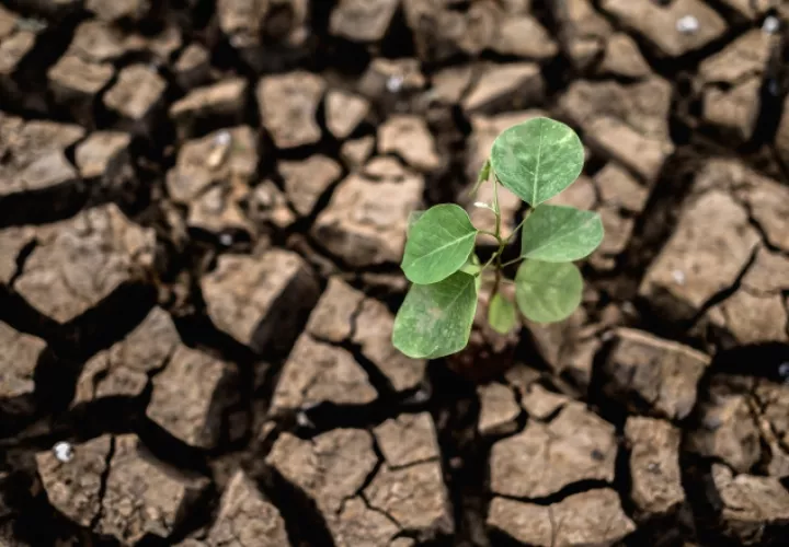 Países viven los efectos de la crisis climática. Foto: EFE